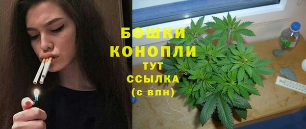 крисы Михайловка