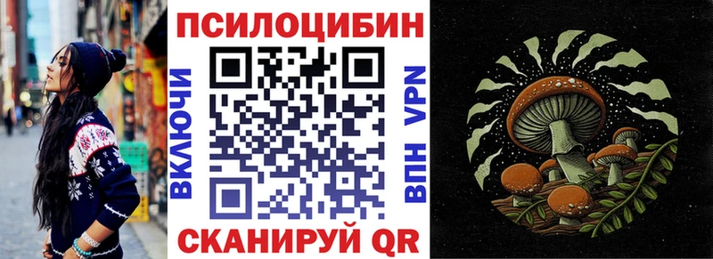 Купить где  Заинск  Псилоцибиновые грибы GOLDEN TEACHER 