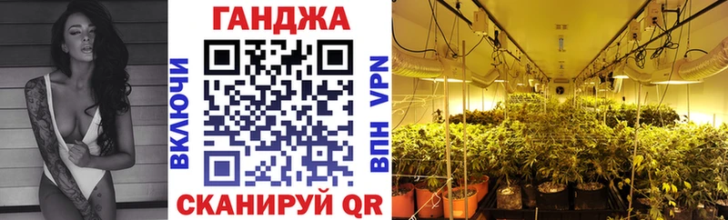 Канабис Amnesia  Купить закладки  Заинск 